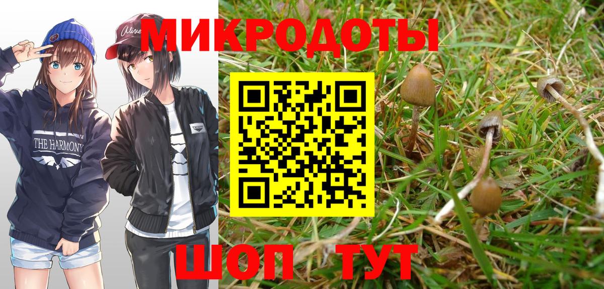 Псилоцибиновые грибы Cubensis Ростов-на-Дону
